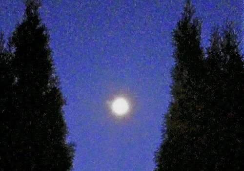 ST&BF at the Christopher Farm & Gardens (February - 